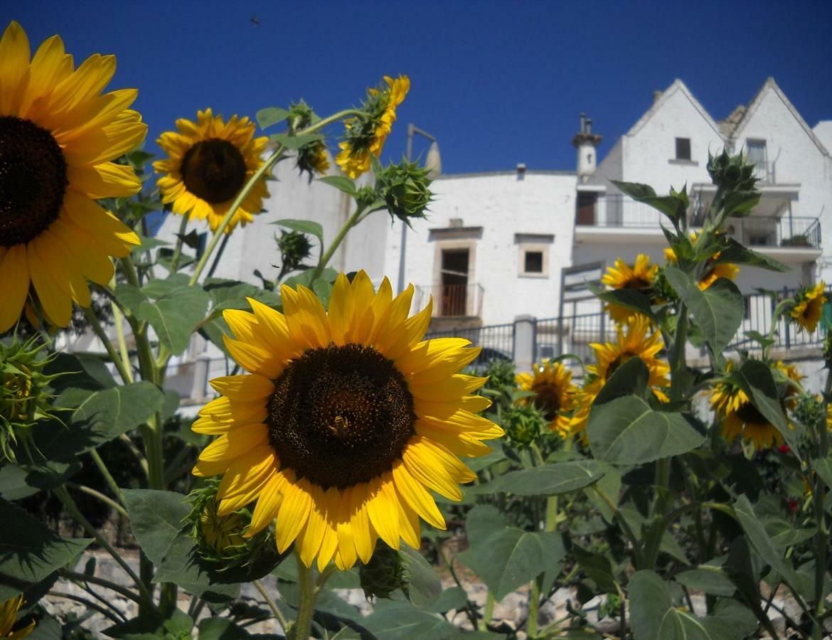 Cuore Dei Venti Martina Franca Exterior foto